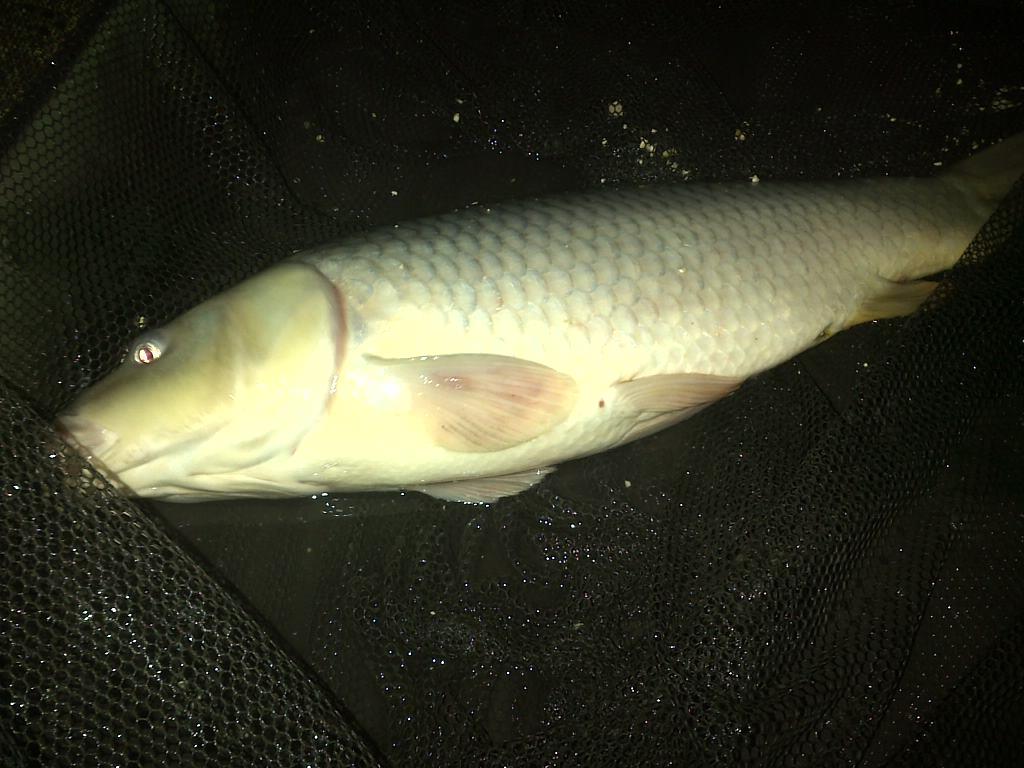 Corbu 28 - 29 sep. - img-20130928-00179.jpg